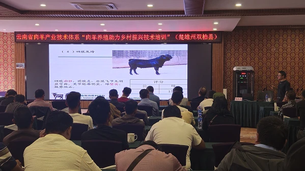 畜牧兽医科技信息汇总