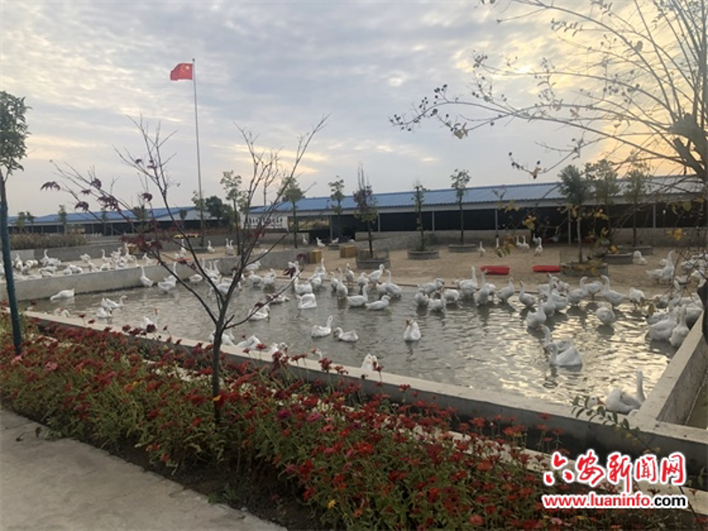 疫病防控，如何有效？