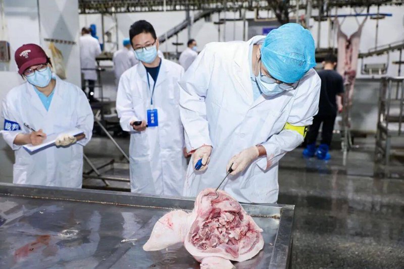 如何在2023年提升我们的畜牧技术推广工作的效果?让我们一起回顾过去一年的工作,总结经验教训。