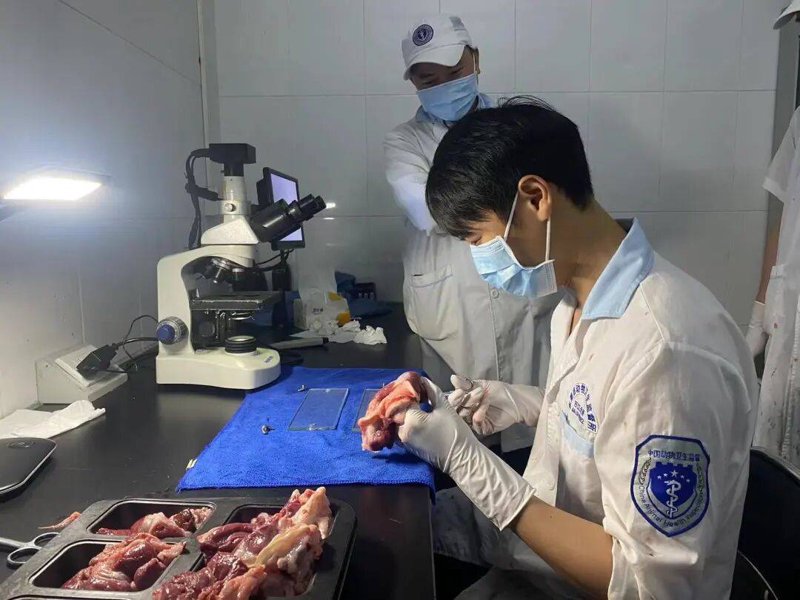 畜禽养殖管理，你真的了解吗？