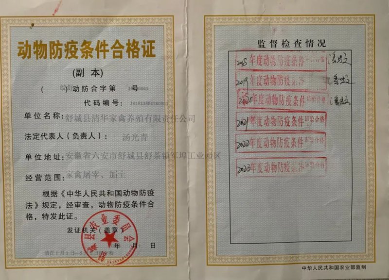 畜牧兽医科技信息盘点：如何提升养殖效率