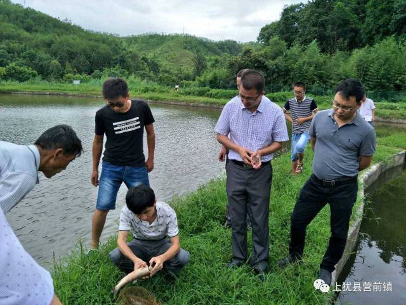 疫病防控技术大盘点:工具推荐篇