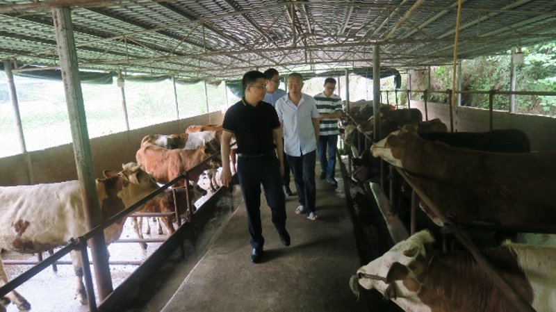 疫病防控中心：如何有效预防和控制畜禽疾病