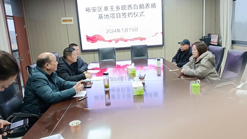 六安市裕安区畜牧兽医局:动物防疫与畜禽养殖优势对比解析